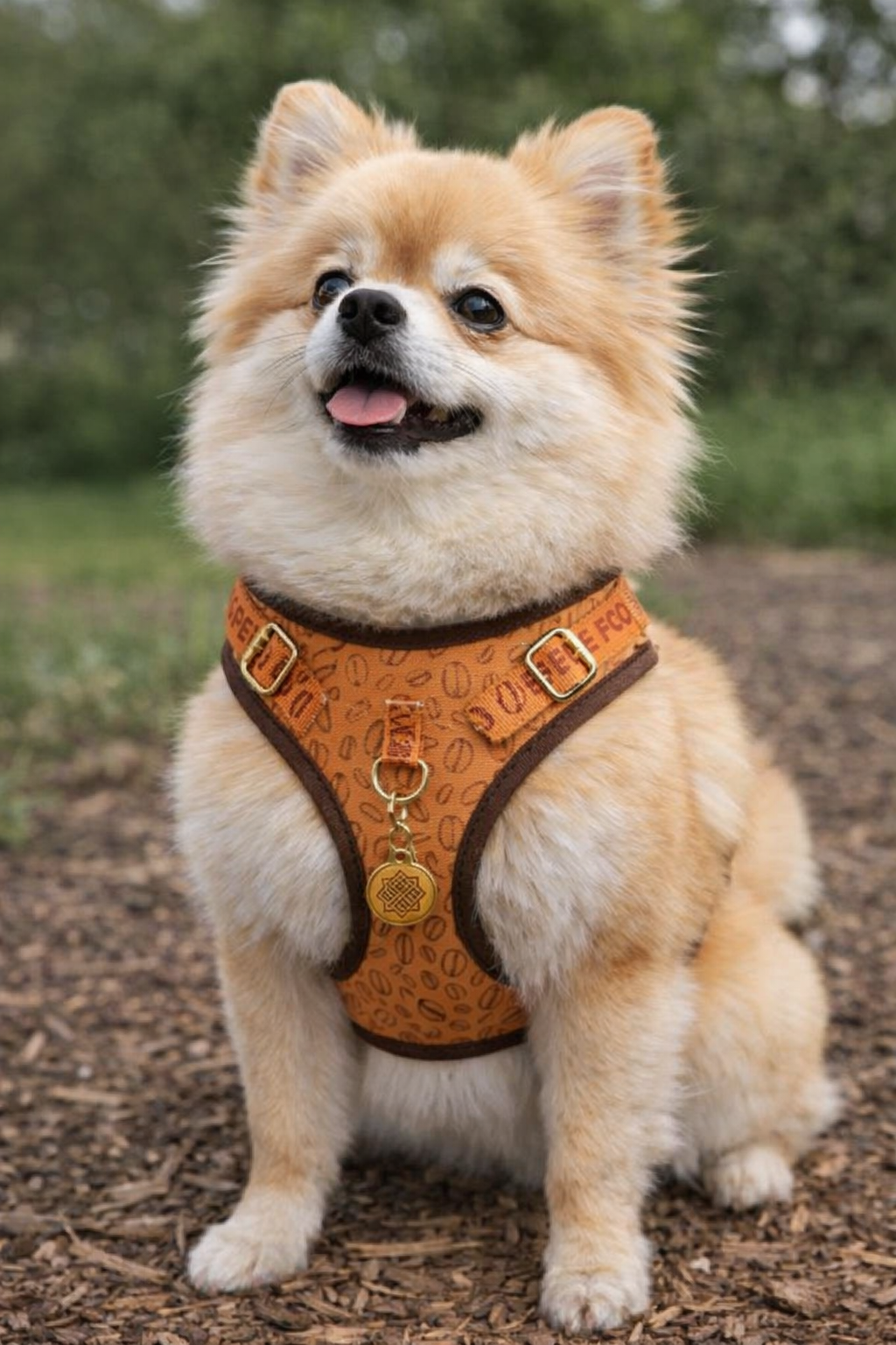 Welcome to Good Dog Supply