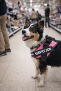 Service Dog Harness with Identification Patch