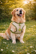 ComfortFit Patterned Dog Harness