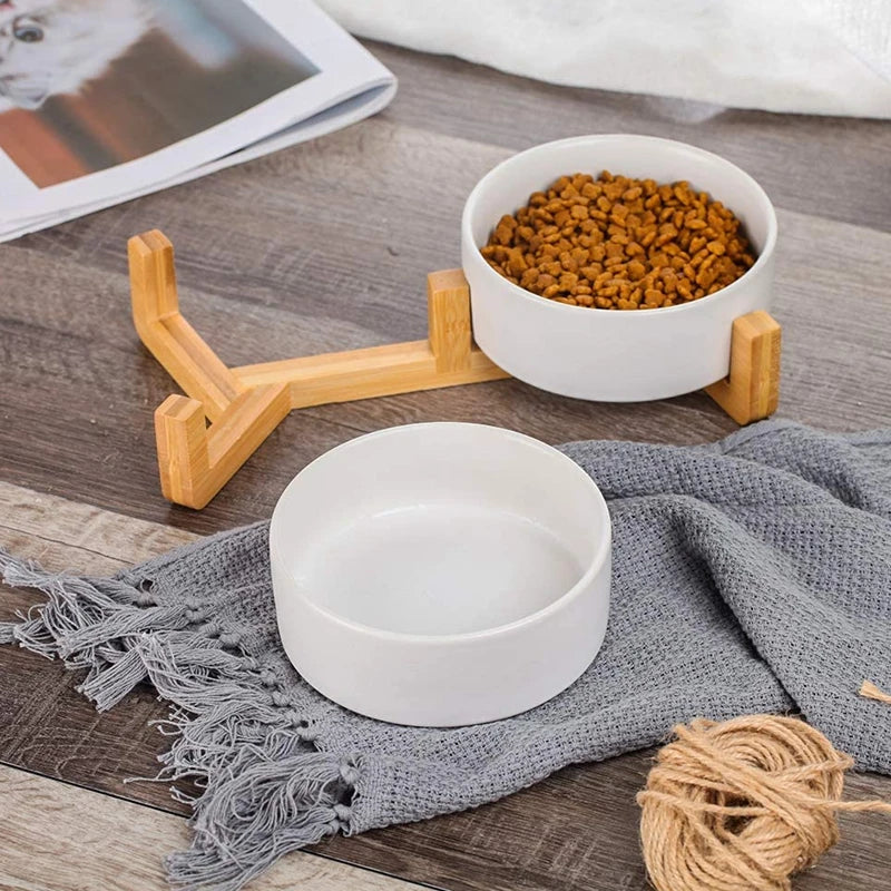 Modern Dog Feeding Bowl Set