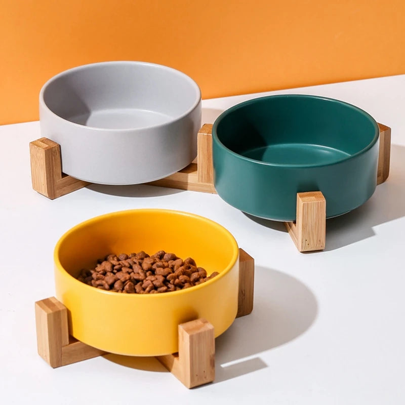 Modern Dog Feeding Bowl Set