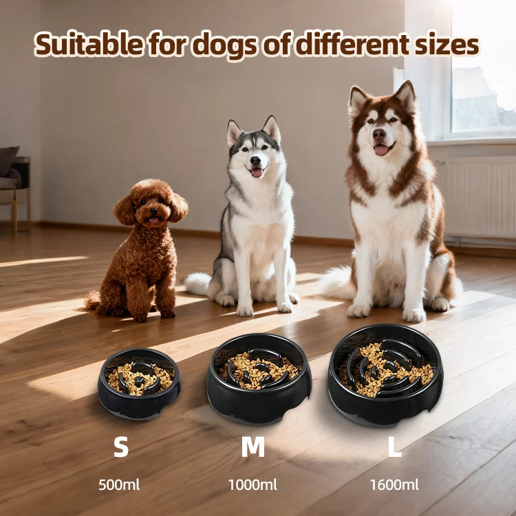 Slow Feeder Dog Bowl