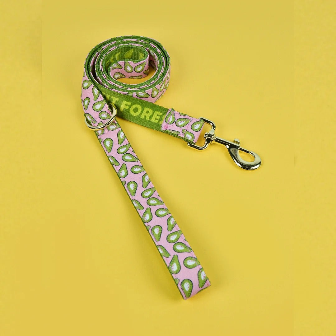 Everyday Comfort Dog Lead