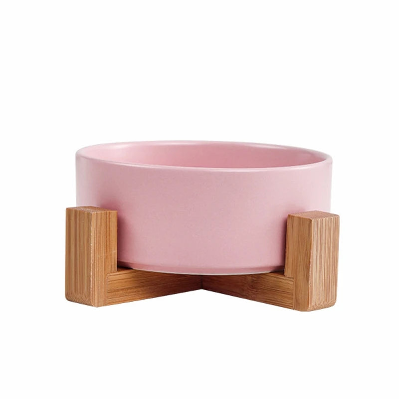 Modern Dog Feeding Bowl Set