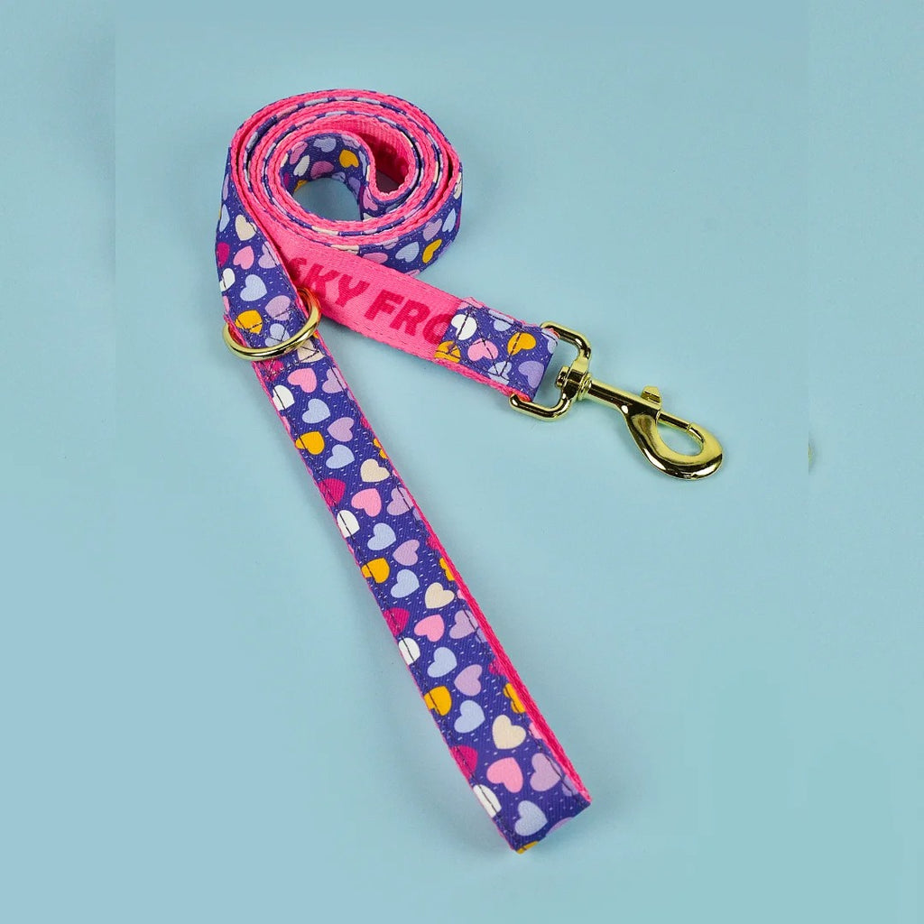 Everyday Comfort Dog Lead