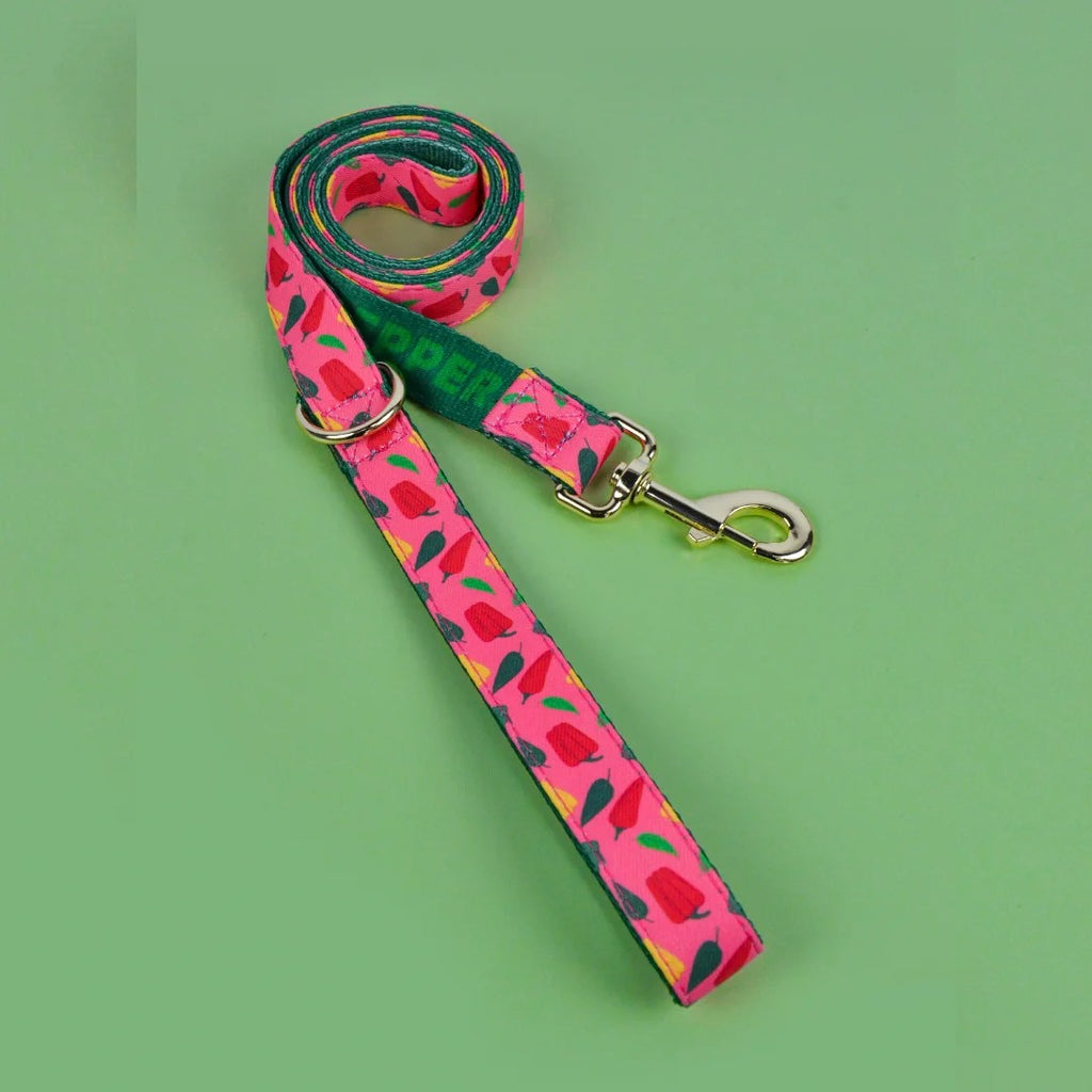 Everyday Comfort Dog Lead