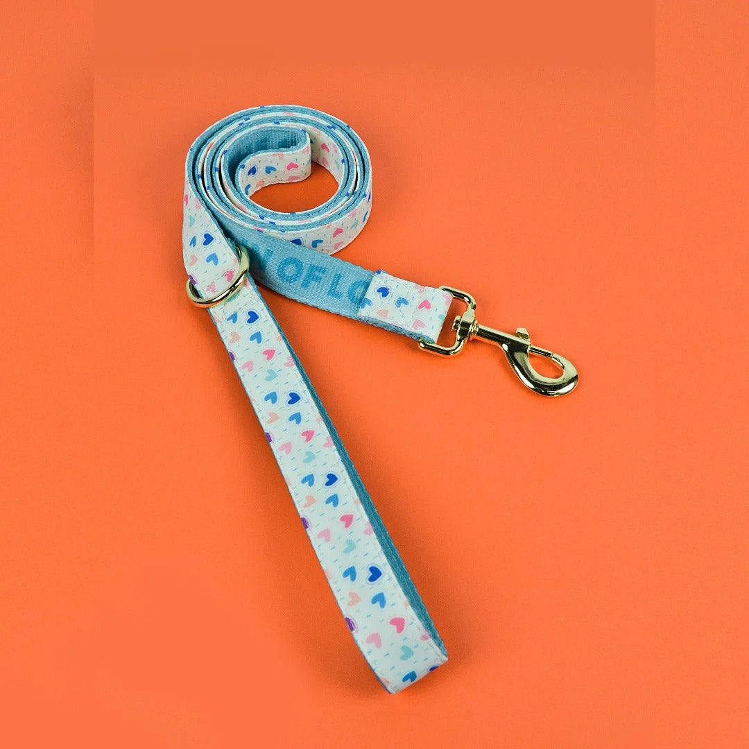 Everyday Comfort Dog Lead