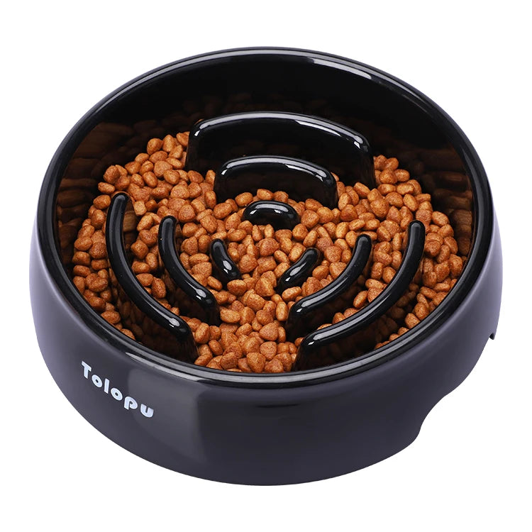 Slow Feeder Dog Bowl
